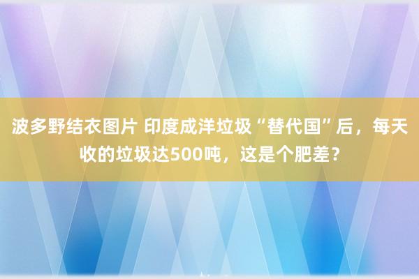 波多野结衣图片 印度成洋垃圾“替代国”后，每天收的垃圾达500吨，这是个肥差？