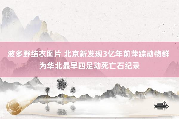 波多野结衣图片 北京新发现3亿年前萍踪动物群 为华北最早四足动死亡石纪录