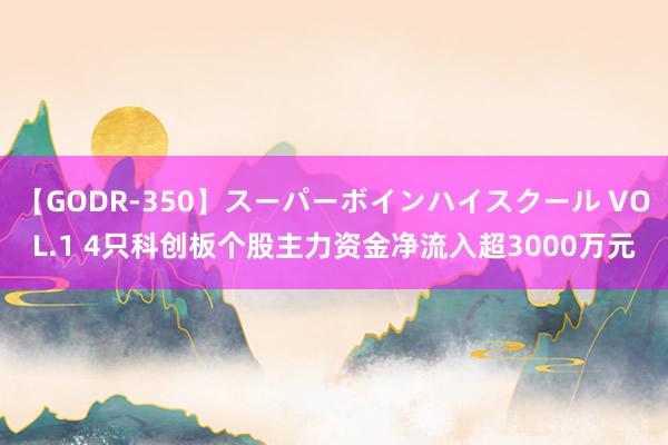 【GODR-350】スーパーボインハイスクール VOL.1 4只科创板个股主力资金净流入超3000万元