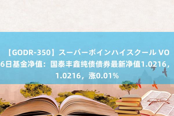 【GODR-350】スーパーボインハイスクール VOL.1 8月16日基金净值：国泰丰鑫纯债债券最新净值1.0216，涨0.01%