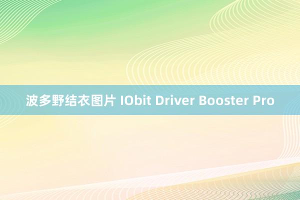 波多野结衣图片 IObit Driver Booster Pro