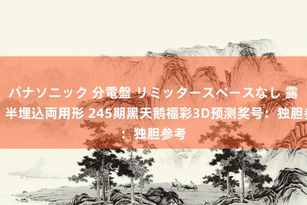 パナソニック 分電盤 リミッタースペースなし 露出・半埋込両用形 245期黑天鹅福彩3D预测奖号：独胆参考