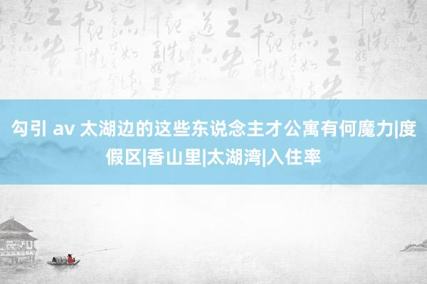 勾引 av 太湖边的这些东说念主才公寓有何魔力|度假区|香山里|太湖湾|入住率